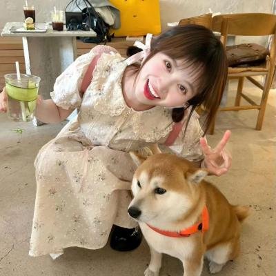 智能千金 海报