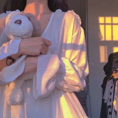 莱芬斯坦:影像的背叛 海报